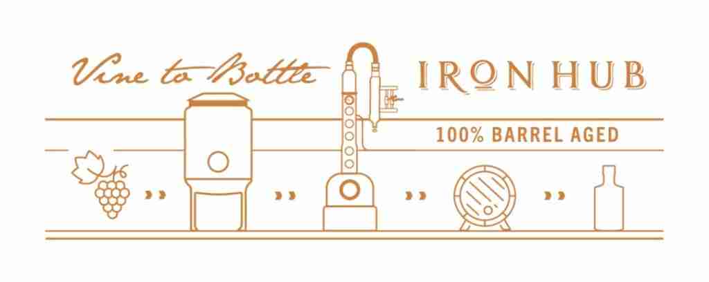 Vine to Bottle Illustration